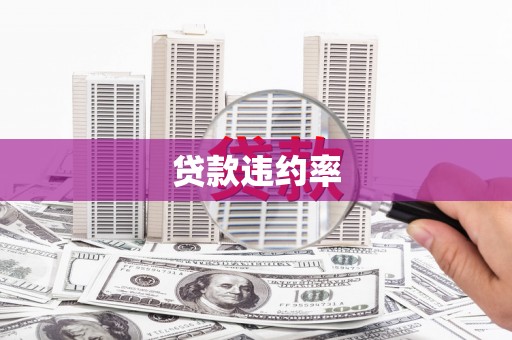 江川贷款违约率