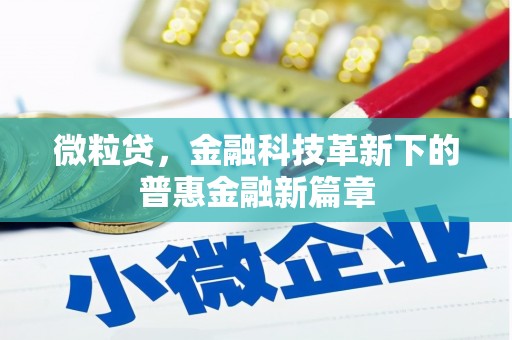 麻山微粒贷，金融科技革新下的普惠金融新篇章