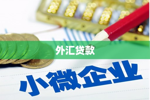 松北外汇贷款