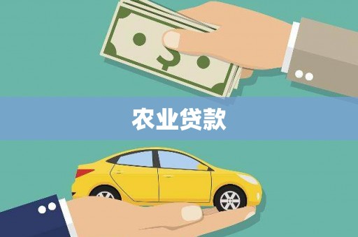 吴忠农业贷款