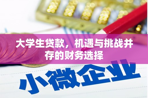 滴道大学生贷款，机遇与挑战并存的财务选择