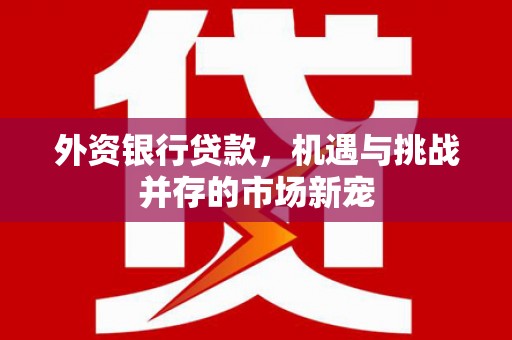 镇雄外资银行贷款，机遇与挑战并存的市场新宠