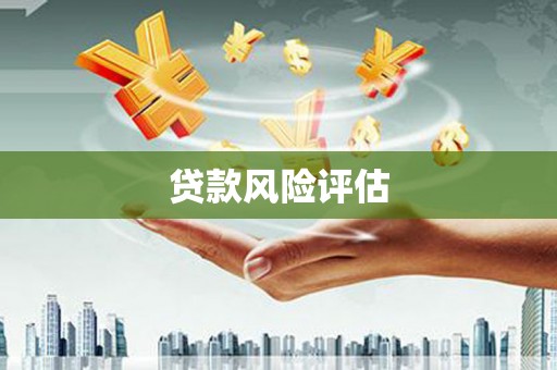 贾汪贷款风险评估