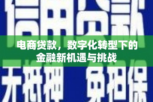 中坜电商贷款，数字化转型下的金融新机遇与挑战