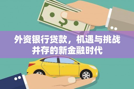 汝阳外资银行贷款，机遇与挑战并存的新金融时代