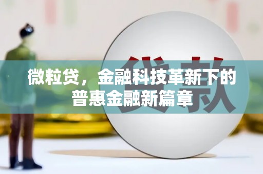 民和微粒贷，金融科技革新下的普惠金融新篇章