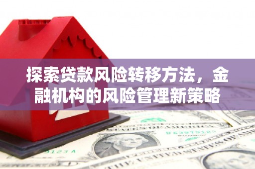 保定探索贷款风险转移方法，金融机构的风险管理新策略