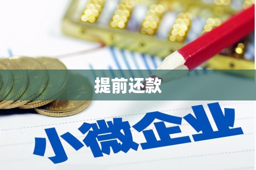 怀来提前还款