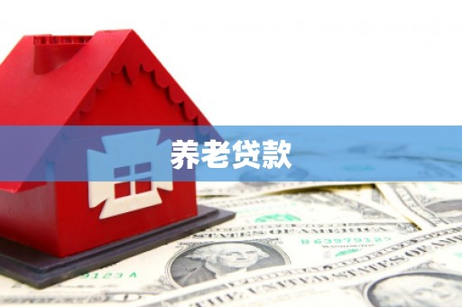 庐阳养老贷款