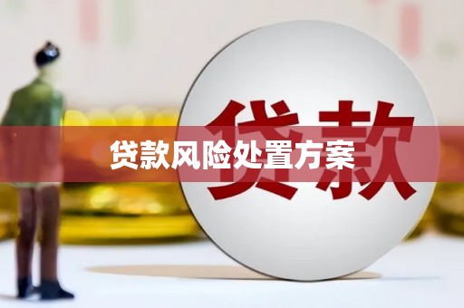 剑阁贷款风险处置方案