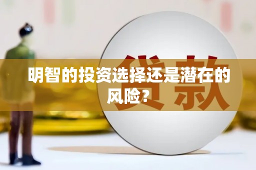 当涂明智的投资选择还是潜在的风险？