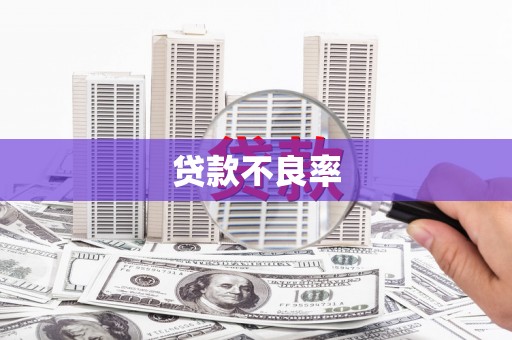 麒麟贷款不良率