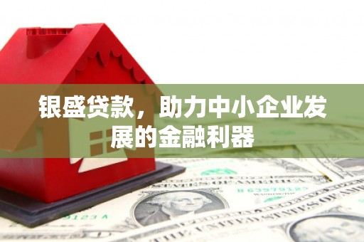 阿里银盛贷款，助力中小企业发展的金融利器
