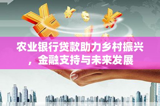 怀来农业银行贷款助力乡村振兴，金融支持与未来发展