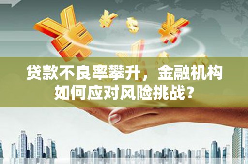 吴起贷款不良率攀升，金融机构如何应对风险挑战？