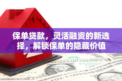 葫芦岛保单贷款，灵活融资的新选择，解锁保单的隐藏价值