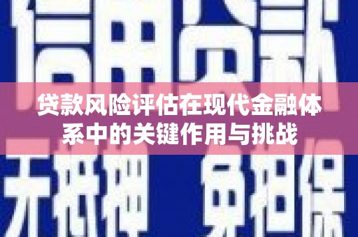 舞钢贷款风险评估在现代金融体系中的关键作用与挑战