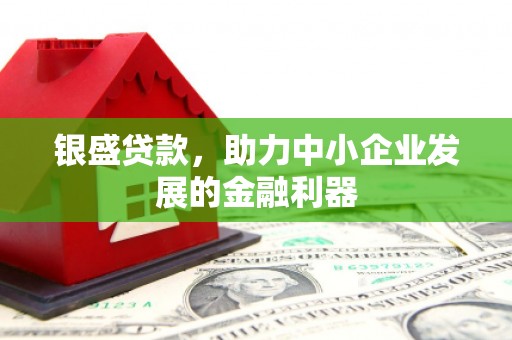 阜宁银盛贷款，助力中小企业发展的金融利器