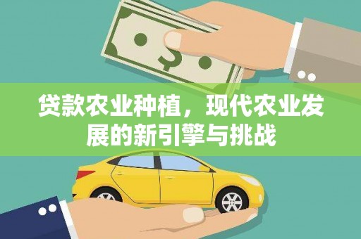 港南贷款农业种植，现代农业发展的新引擎与挑战
