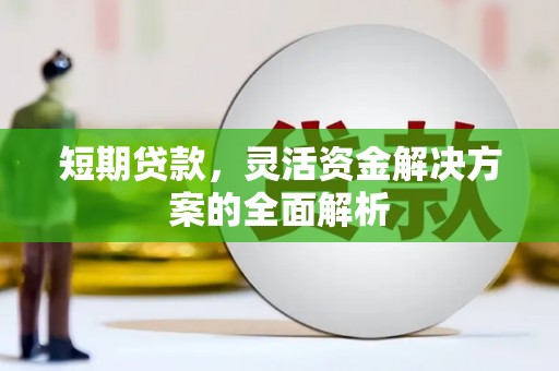 澄迈短期贷款，灵活资金解决方案的全面解析