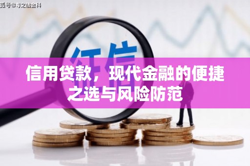桐乡信用贷款，现代金融的便捷之选与风险防范