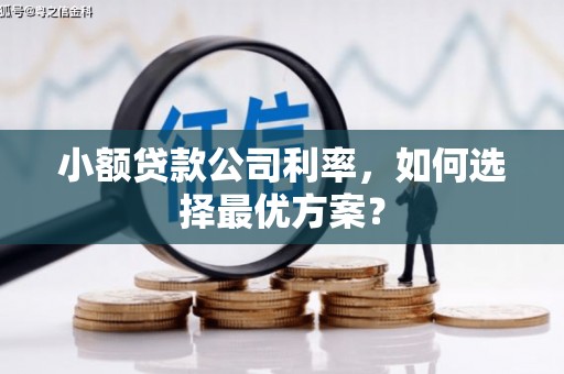 耀州小额贷款公司利率，如何选择最优方案？