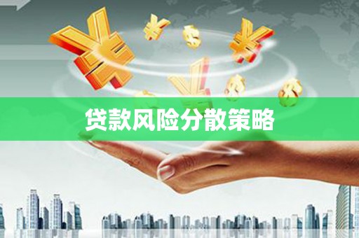 巨野贷款风险分散策略