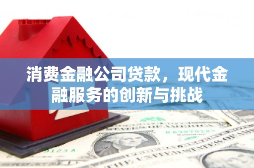 赫山消费金融公司贷款，现代金融服务的创新与挑战