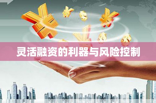 宛城灵活融资的利器与风险控制