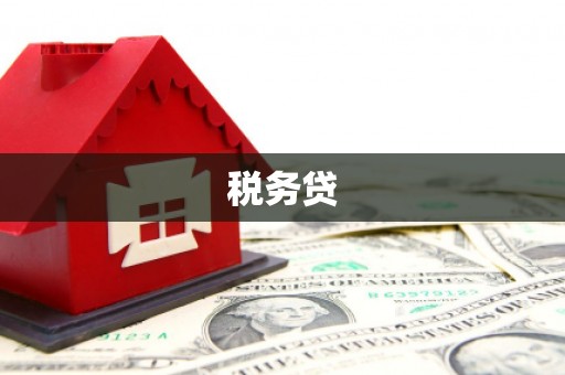 泰宁税务贷