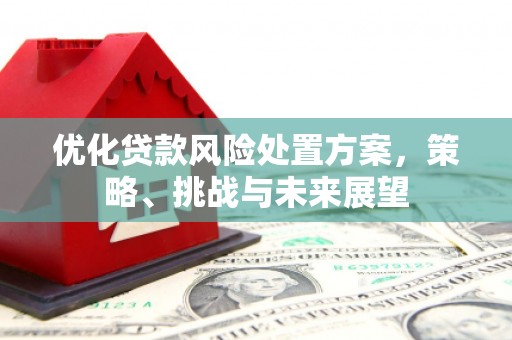 龟山优化贷款风险处置方案，策略、挑战与未来展望