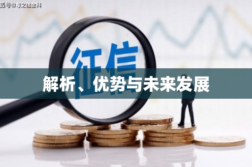 临湘解析、优势与未来发展