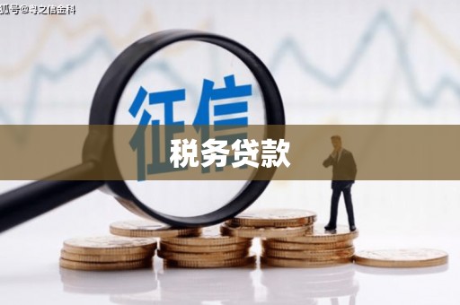 盐池税务贷款