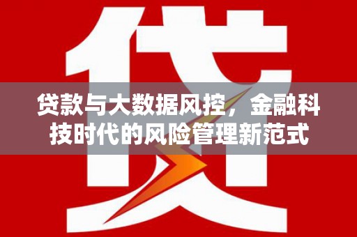 塔城贷款与大数据风控，金融科技时代的风险管理新范式