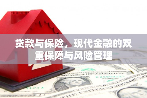 焉耆贷款与保险，现代金融的双重保障与风险管理