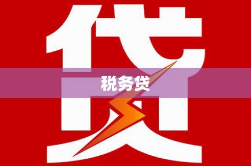 广东税务贷