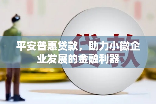 洞口平安普惠贷款，助力小微企业发展的金融利器