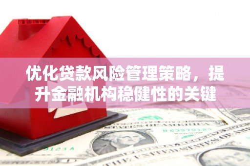 文安优化贷款风险管理策略，提升金融机构稳健性的关键