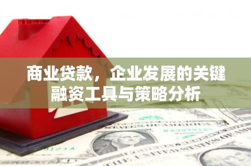 东源商业贷款，企业发展的关键融资工具与策略分析