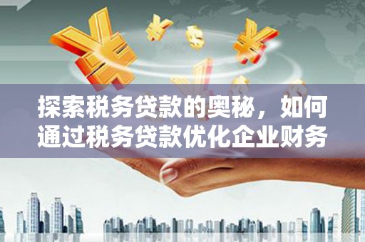 唐县探索税务贷款的奥秘，如何通过税务贷款优化企业财务
