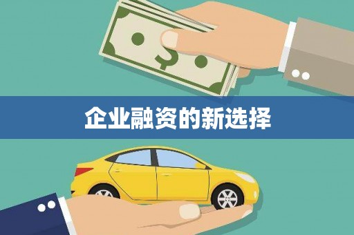 武鸣企业融资的新选择