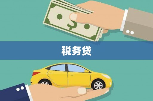 颍东税务贷