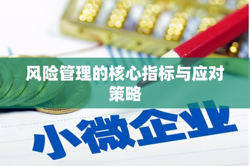 梓官风险管理的核心指标与应对策略