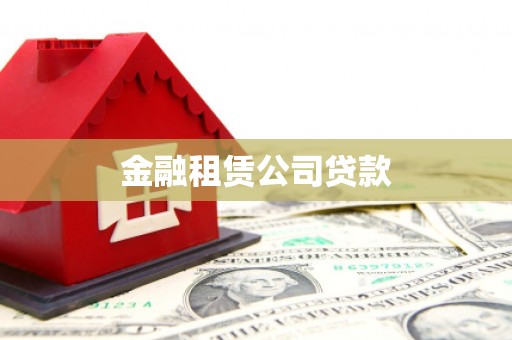 南庄金融租赁公司贷款