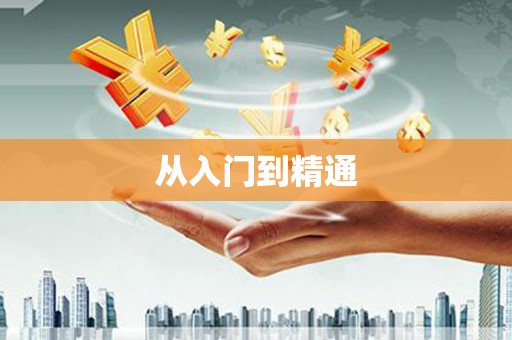 崖州从入门到精通