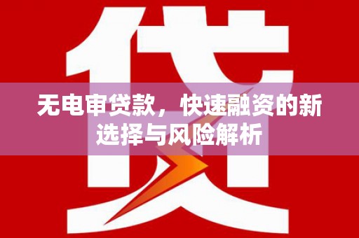 馆陶无电审贷款，快速融资的新选择与风险解析
