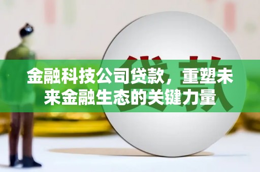 阿拉山口金融科技公司贷款，重塑未来金融生态的关键力量
