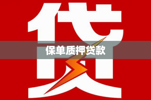 云和保单质押贷款