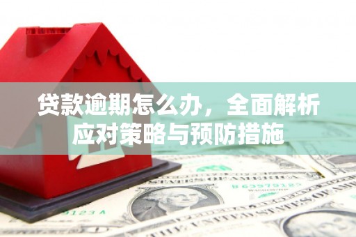 循化贷款逾期怎么办，全面解析应对策略与预防措施