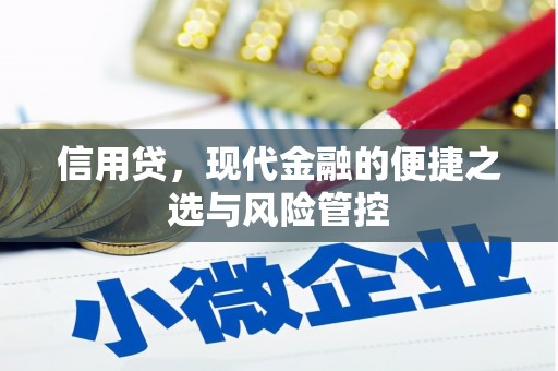 大堂信用贷，现代金融的便捷之选与风险管控